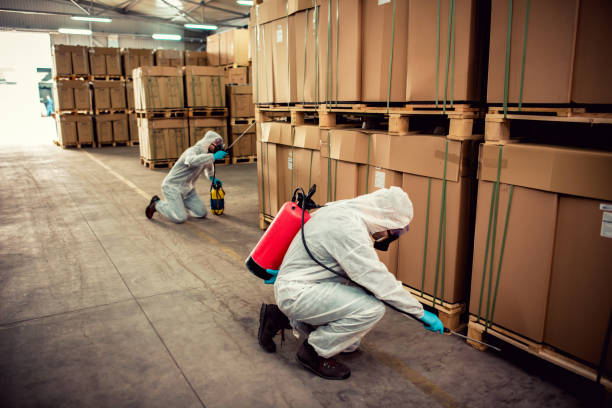 Best Exterminator Services  in Auburn, GA