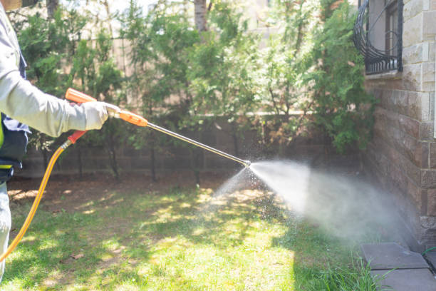 Best Spider Control Near Me  in Auburn, GA