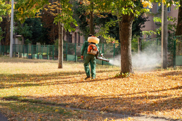 Best Mosquito Control Services  in Auburn, GA